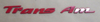 93-02 Trans Am Door Lettering Emblem Red